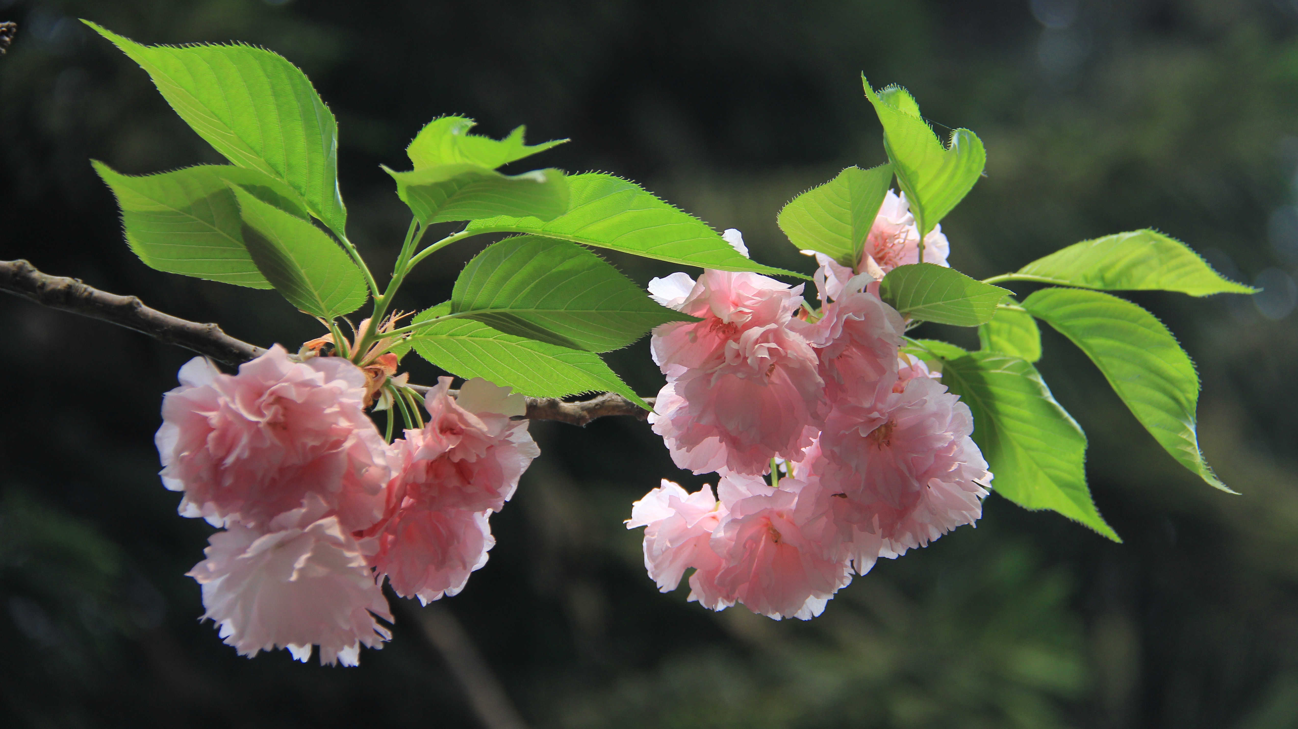 心理测试:会把哪张发朋友圈,测你究竟做了什么让对方如此生厌