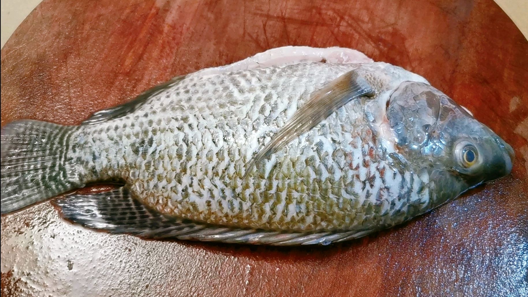 爱吃福寿鱼记得收藏喽!试试这个特色新做法,酸辣入味好吃又下饭