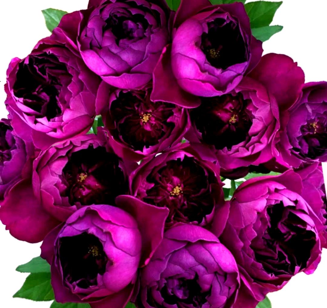 款款- 热门商品专区