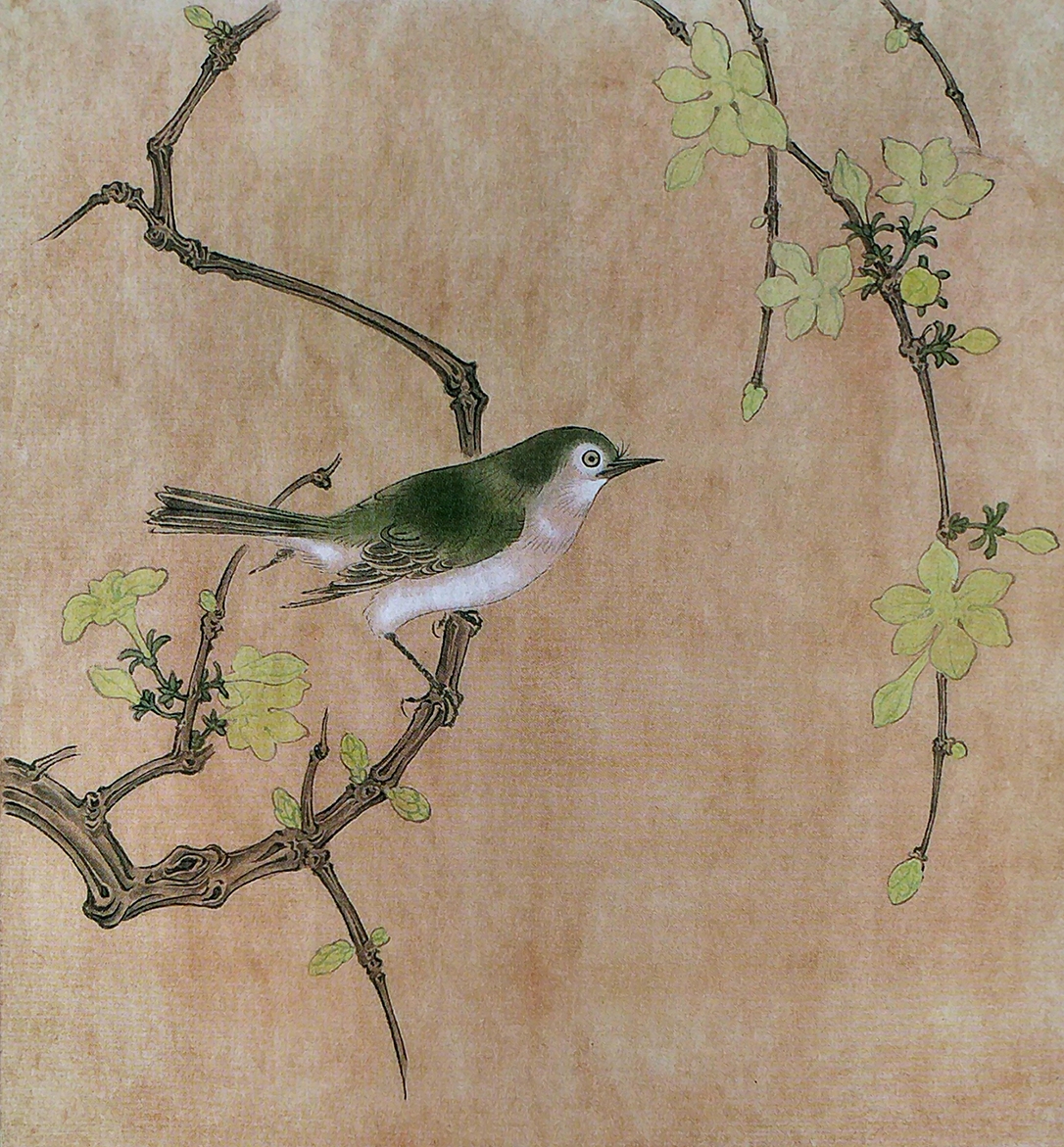 国画技法讲堂|迎春花与绣眼鸟