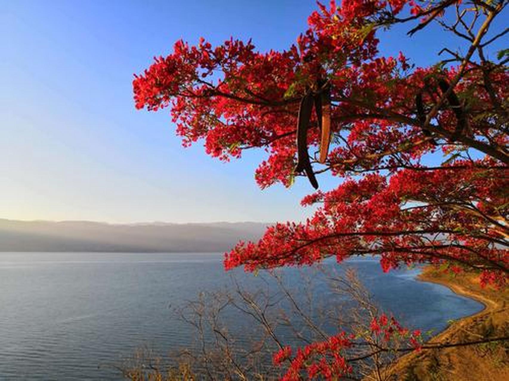 程海又称为"黑伍海",位于云南省丽江市永胜县中部,是一个南北长的椭圆