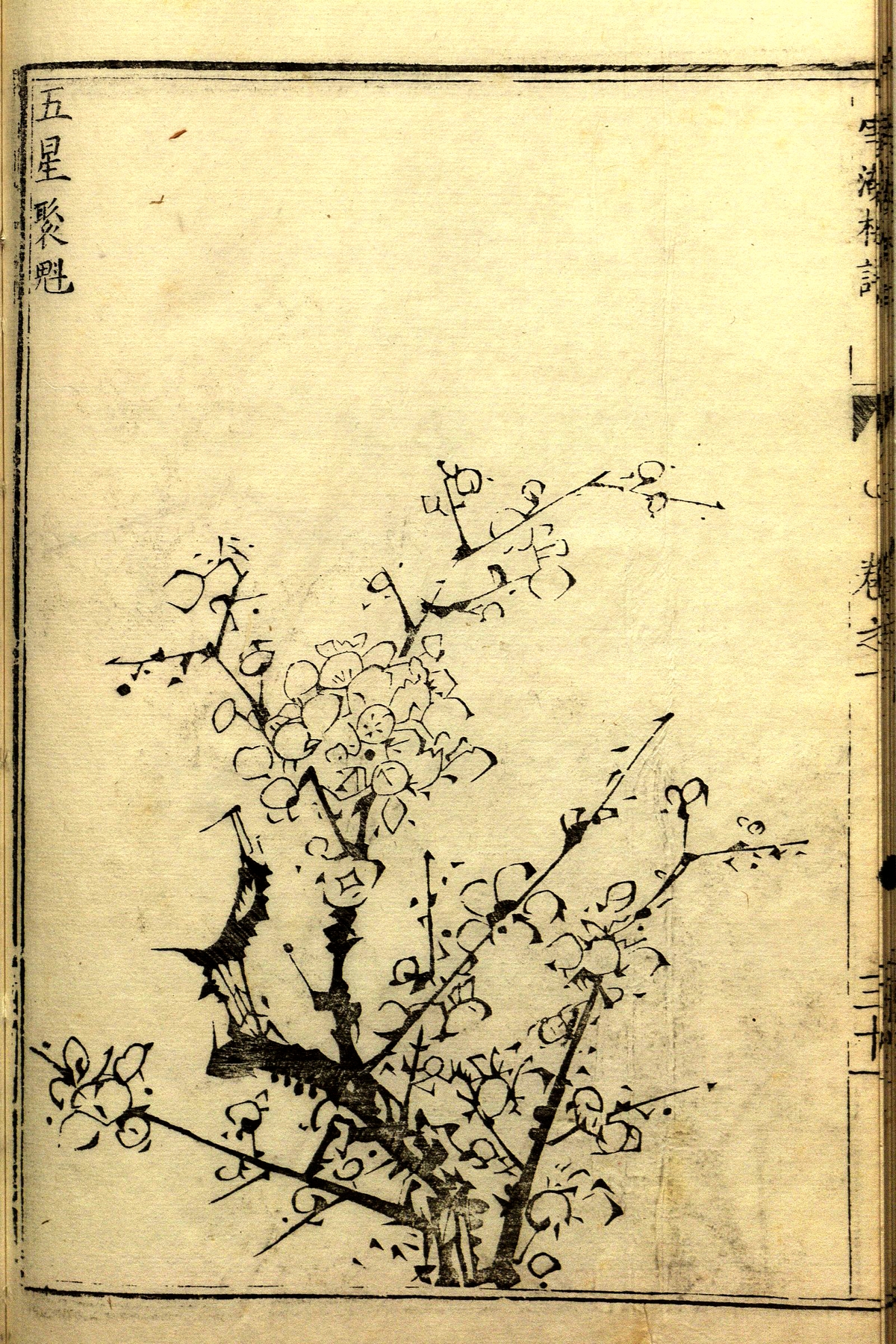 《刘雪湖梅谱》内含明代画家刘世儒(号雪湖)梅花谱版画26幅:一枝春信