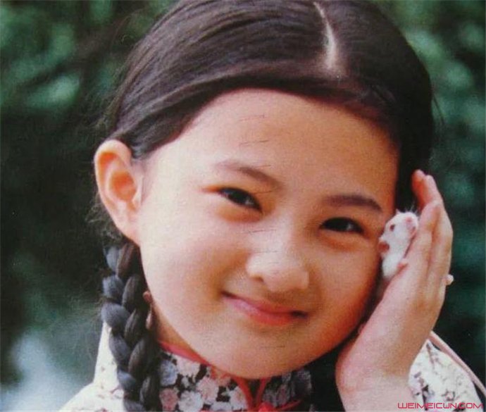 小婉君金铭近照曝光,一头短发神清气爽显气质