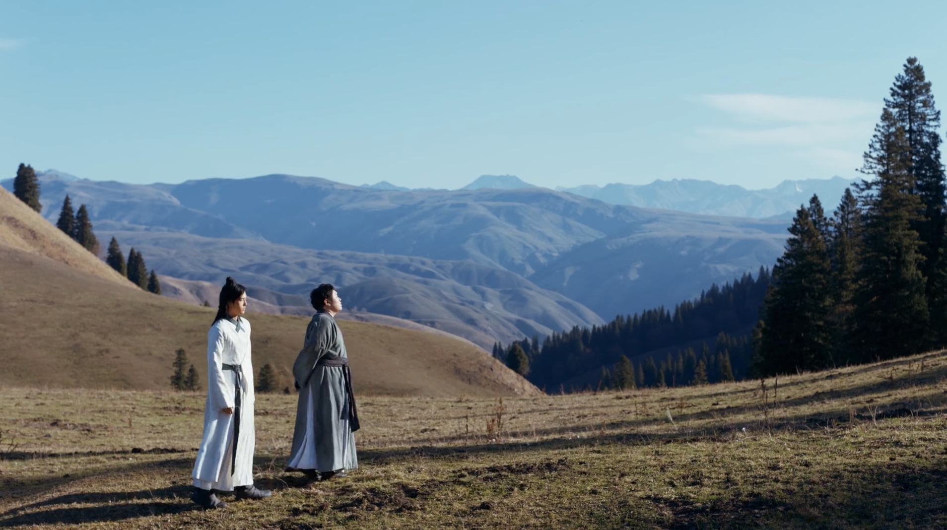 陈皮皮乱入系列《将夜》这些镜头应该让宁缺带着桑桑演