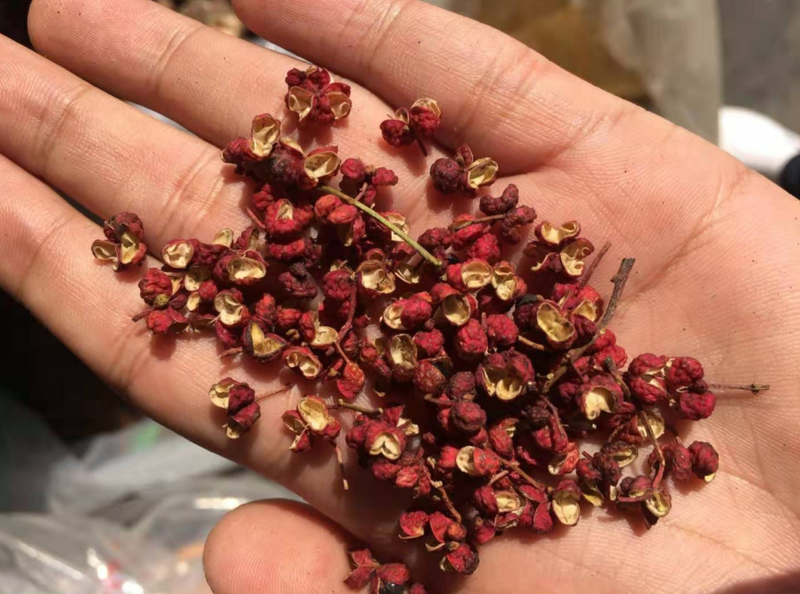 眼睛看,鼻子闻,舌头尝:查看花椒内的花椒籽比例是否正常!