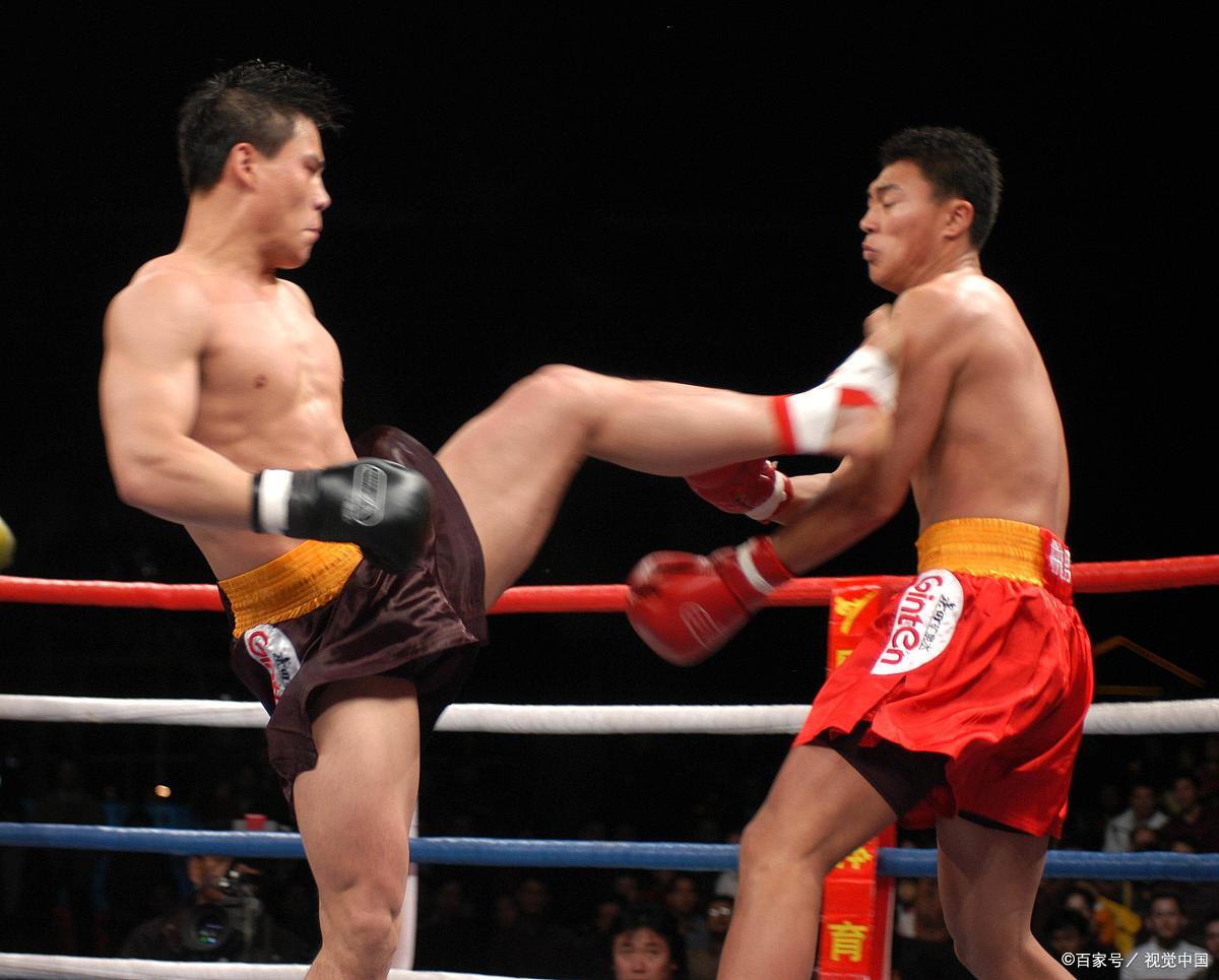 散打王刘海龙职业成就