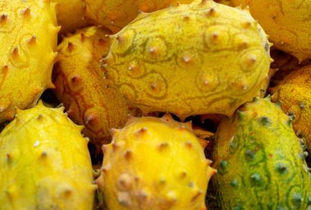 农村一种全身长刺的水果,是从非洲引进的,成农民的致富果