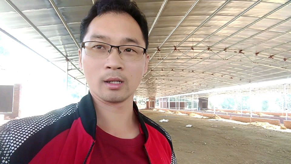 广东老板投资300万养鸡,年出栏可达300000羽,养鸡还能赚钱吗