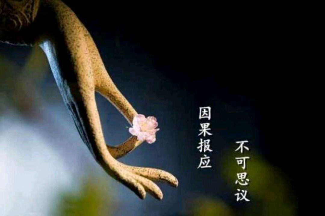 善有善报,恶有恶报!因果报应,真的存在吗?