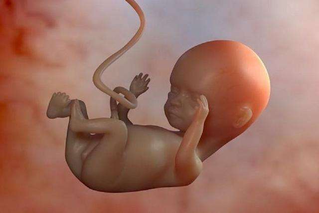 孕33周胎宝宝真实图片图片