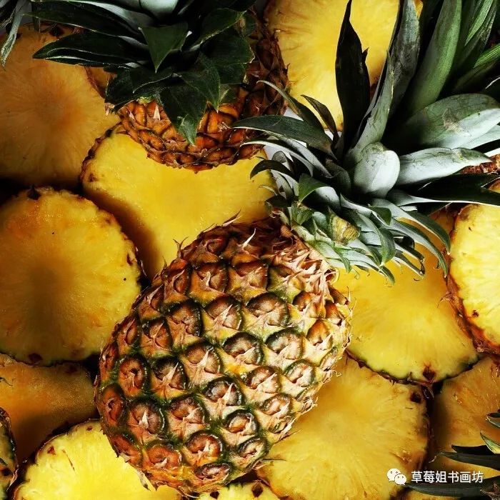 教程|儿童水粉创意画《菠萝》