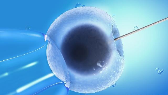 关于卵子的小知识,备孕夫妻不妨看看,或许有助于迎接好孕