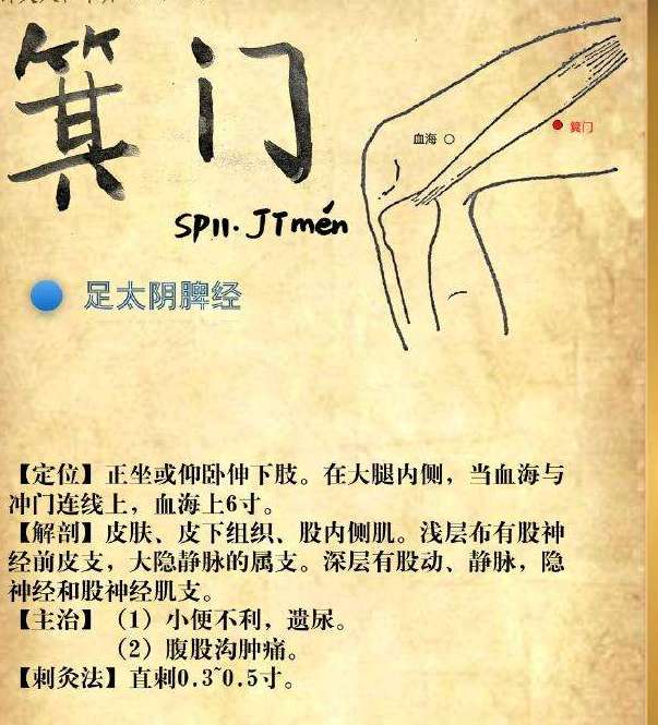 小便不利,揉箕门——箕门穴!