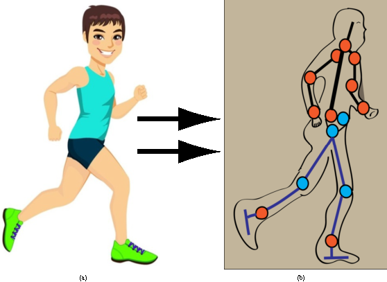 跑步运动员骨骼简化图