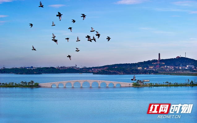 绿色答卷|保护水体 听听岳阳南湖的"回答声"