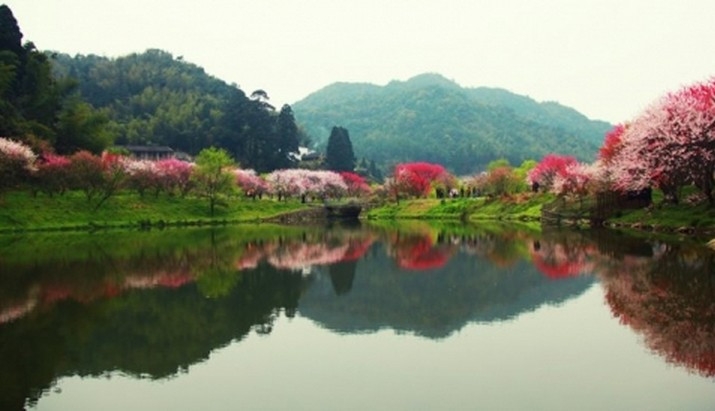 這裡有景色很好的福廬山公園,旗山國家森林公園.