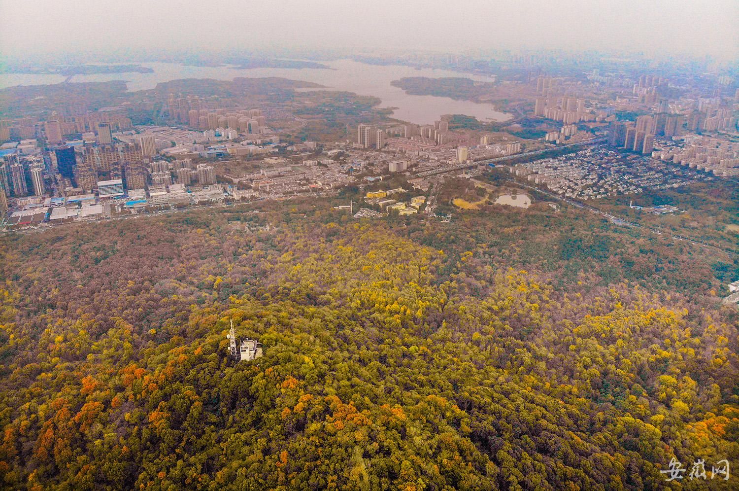 大蜀山山顶图片