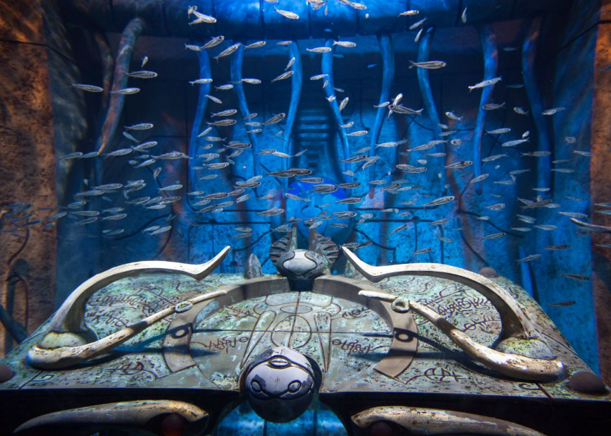 失落的空间水族馆与外部免费水族馆明亮的环境有所不同,水族馆取名the