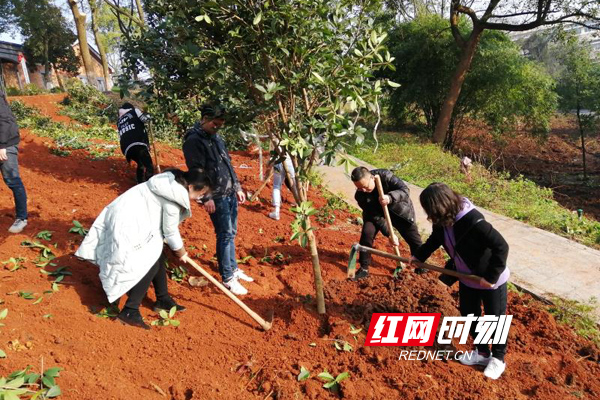 植树节|挥锹添绿美校园