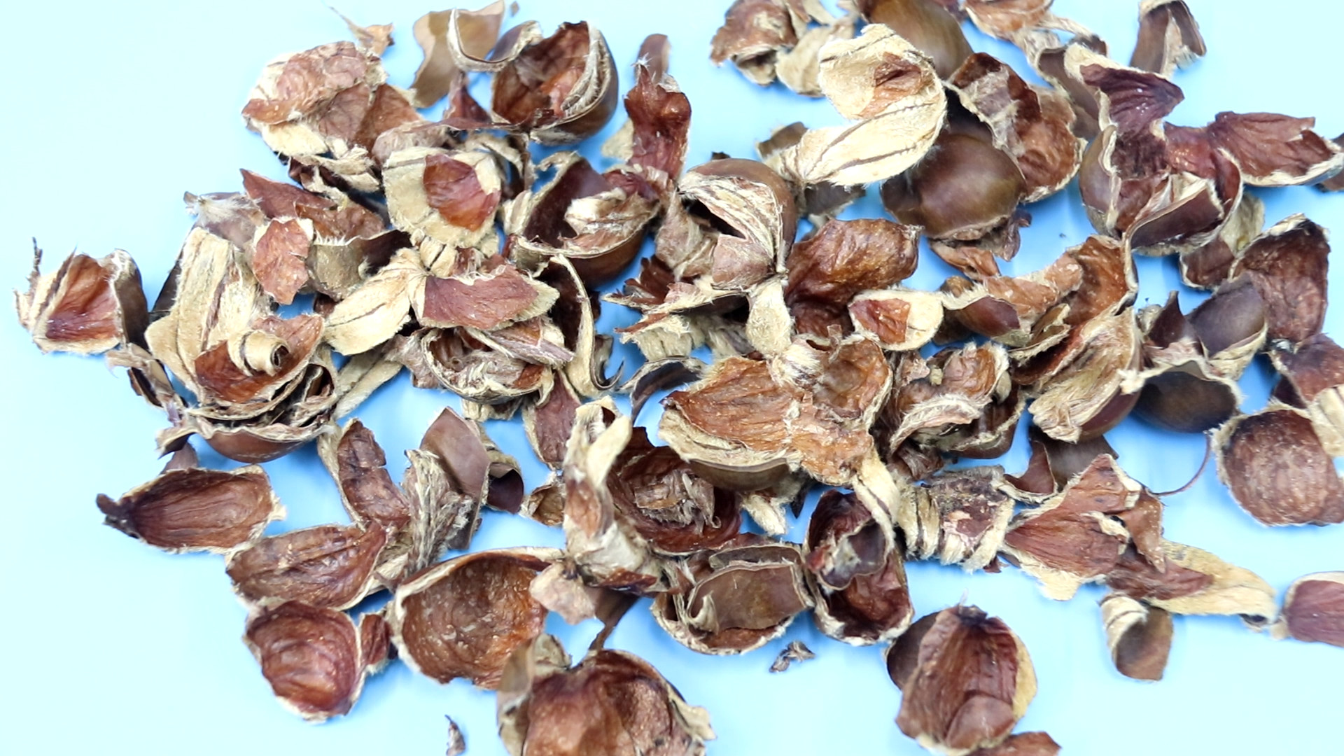 壳生- 2020年最新商品信息聚合专区 - 百度爱采购