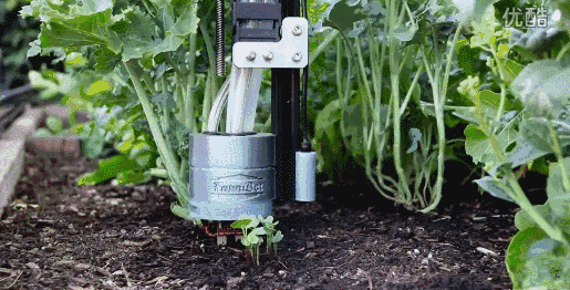 farmbot还自带土壤检测模块, 实时监控土质变化,水分含量, 确保蔬菜