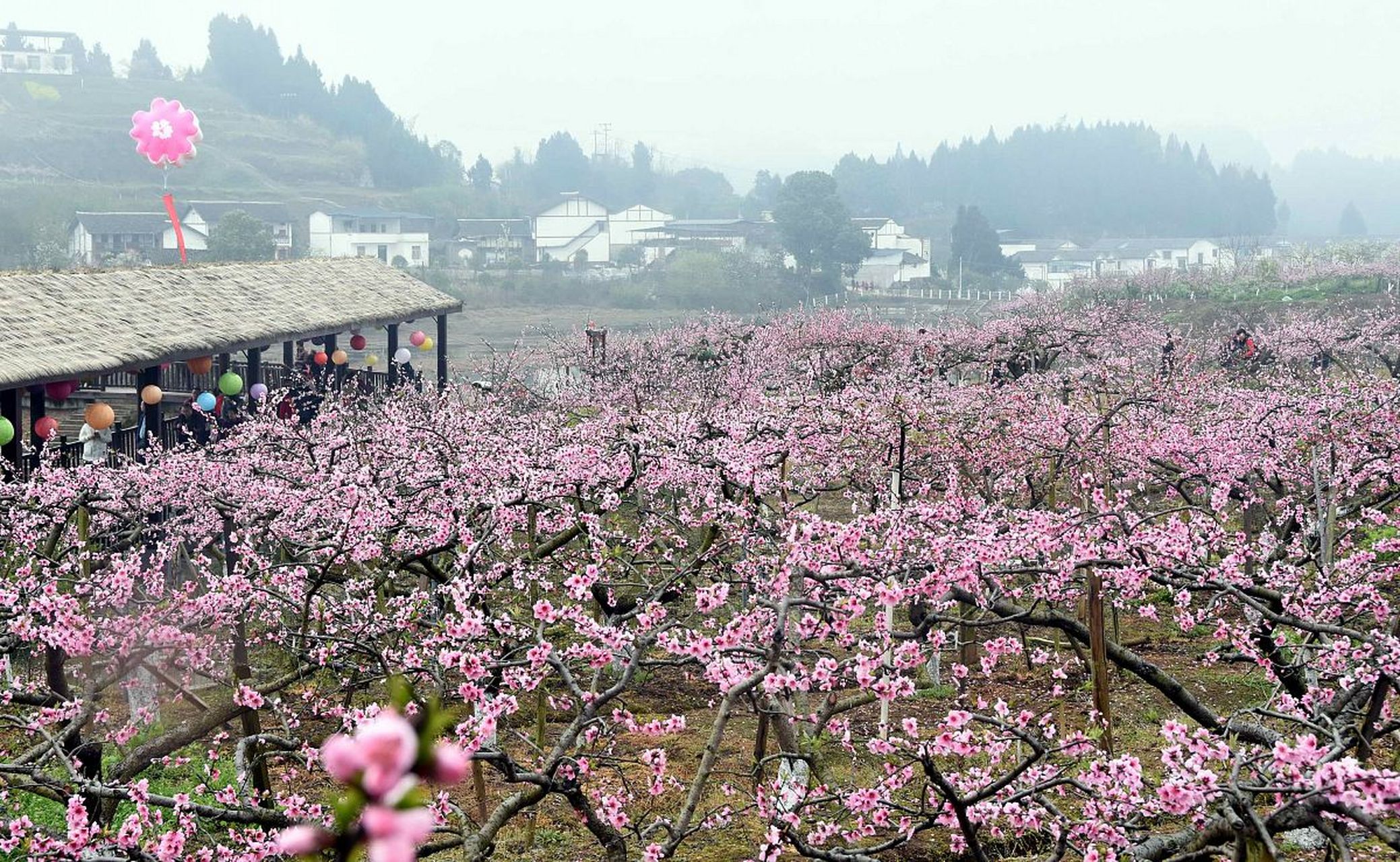 定南桃花源风景区图片