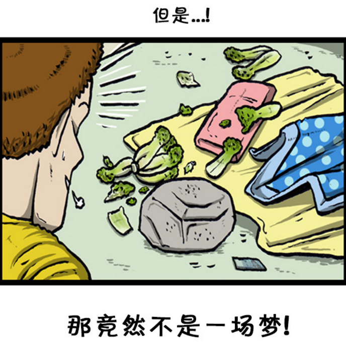 白菜,石头,乱糟糟的被窝……一切就像梦中看到的那样.