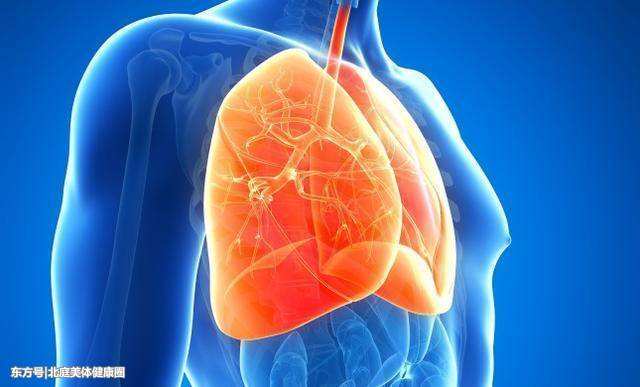 若身上这"3个部位"有疼痛感,可能是肺不好,发现一个也别忽视