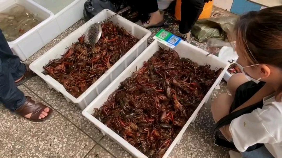 广东打工夫妻去海鲜市场买龙虾,40多块买一大袋,看多少钱一斤?
