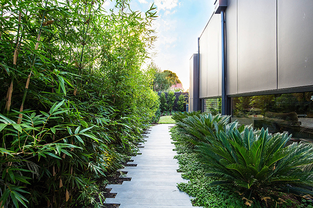 竹子一直这么火是有原因的,精选20款以竹子为景观植物的别墅花园