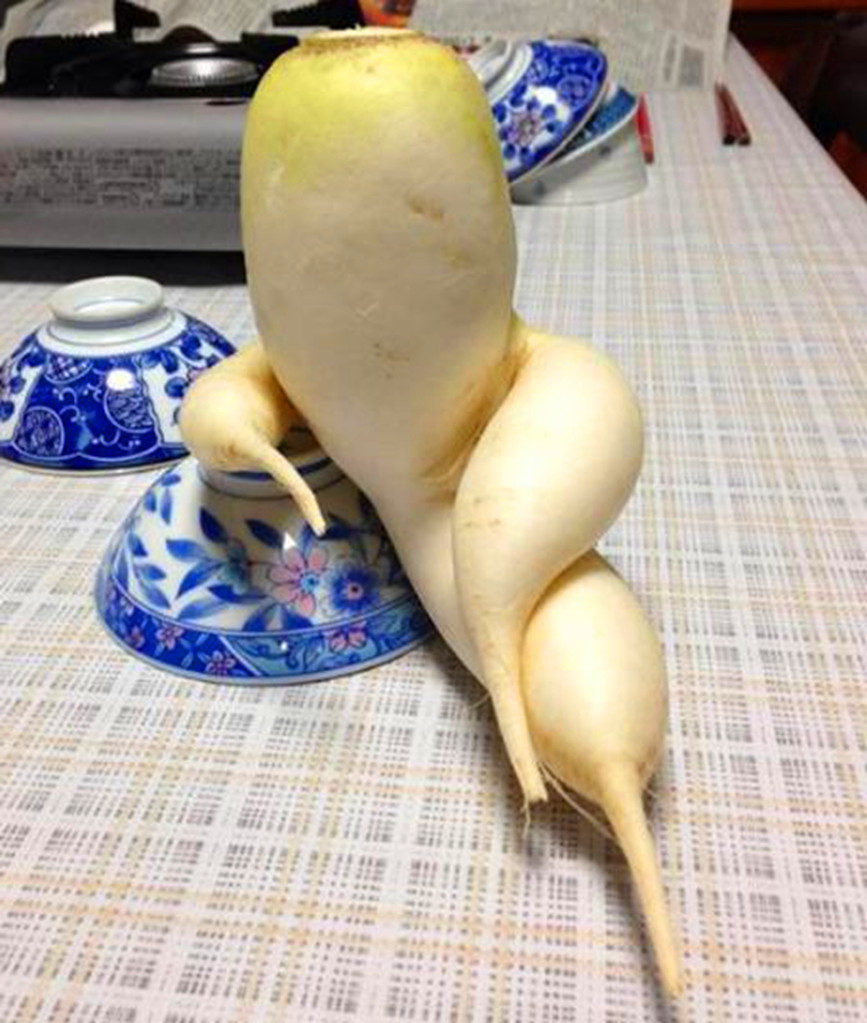 世界上最奇葩的蔬菜:第一个简直成精了,最后一个姿势"销魂"!