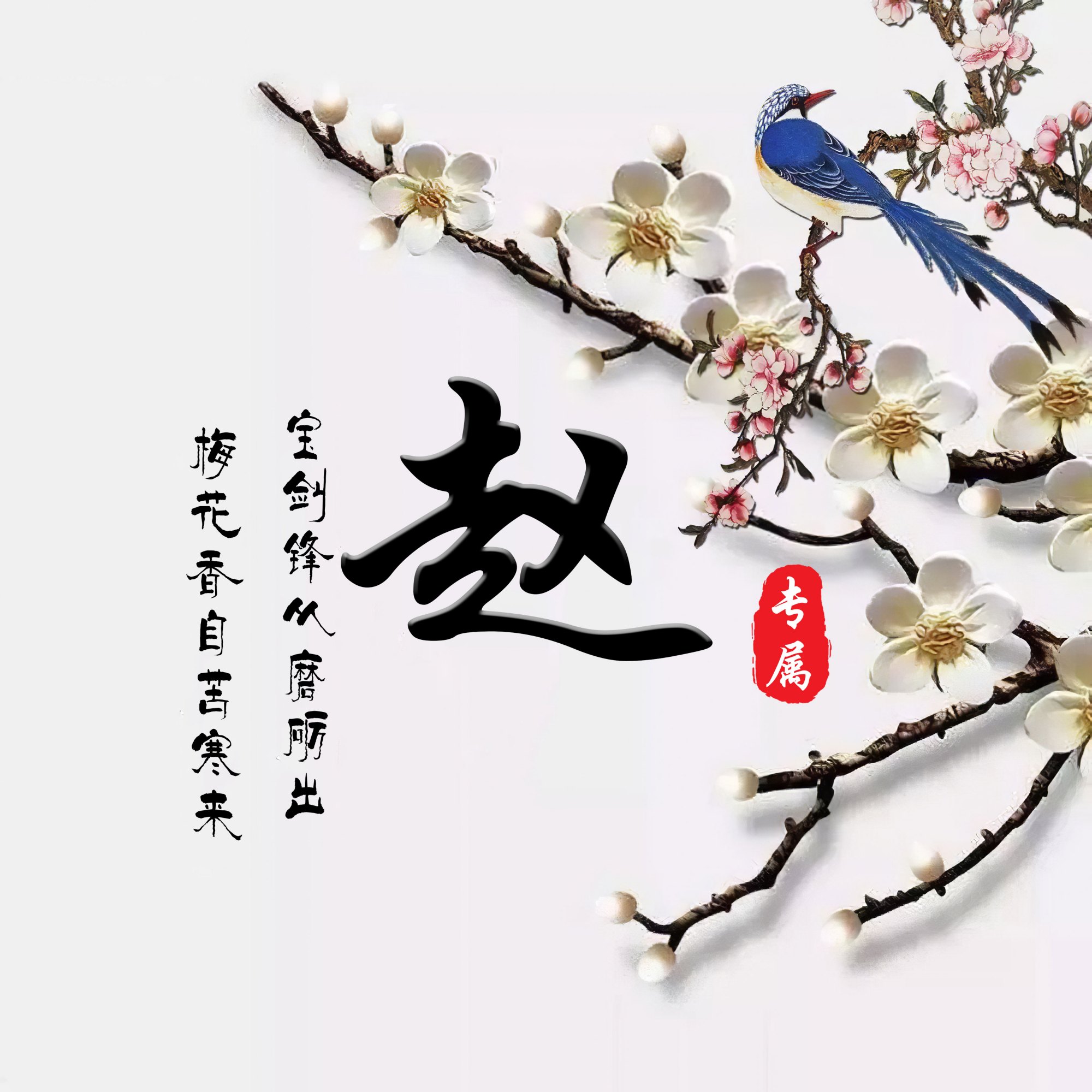 你的微信头像该换了,35张梅花百家姓氏图,有你的姓氏吗?