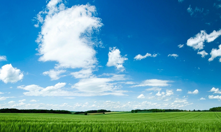 蓝蓝的天空,白云和绿草地,组成野外优美的风光,令人心旷神怡.