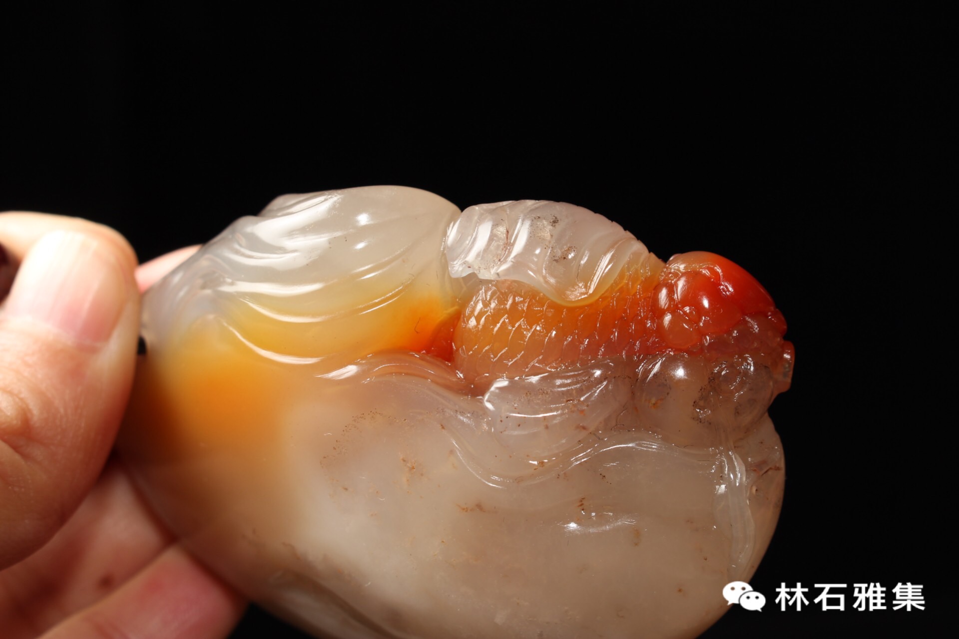 「林石雅集解读」寿山石中有一种名石——鸡母窝石