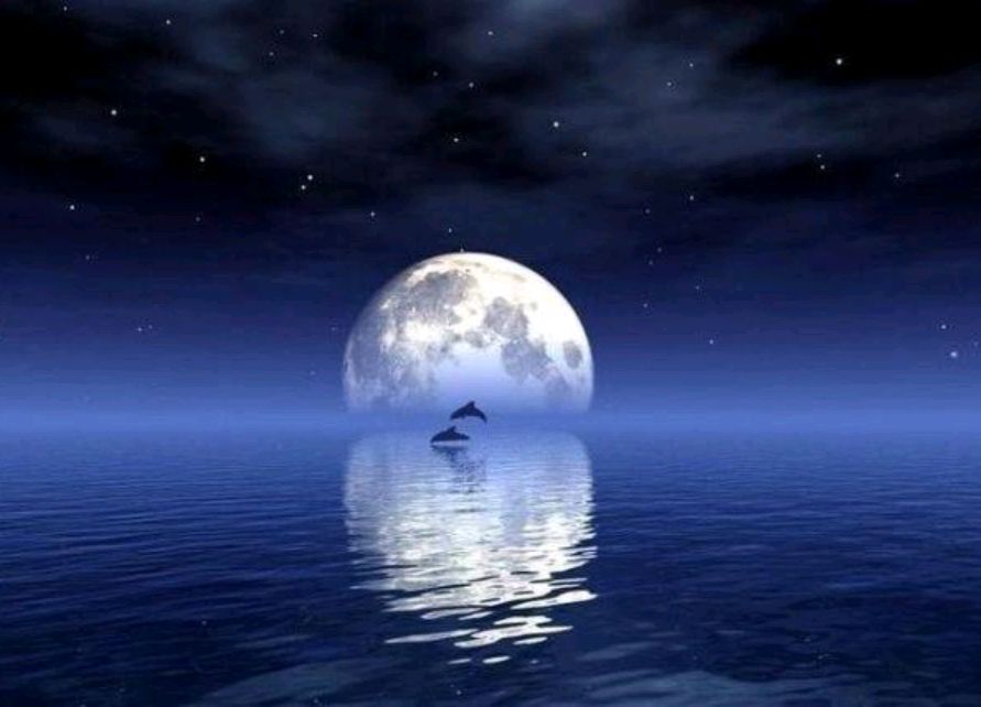 你有多久没陪孩子看月亮了?月亮之下,陪孩子这样做才不留遗憾!