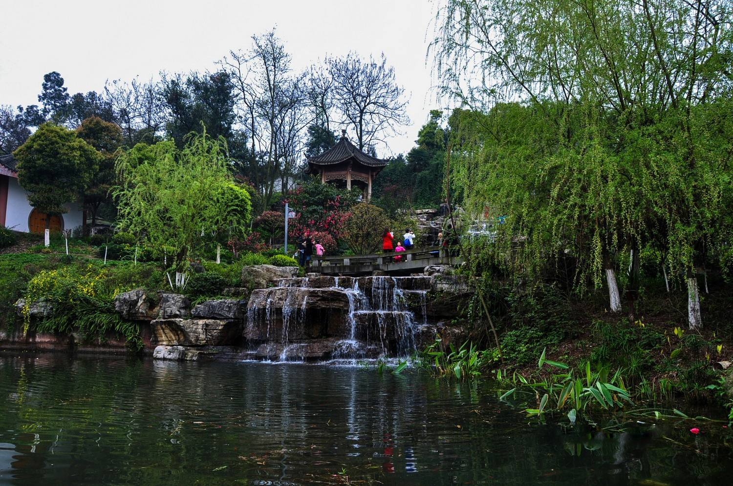 重庆照母山植物园图片图片