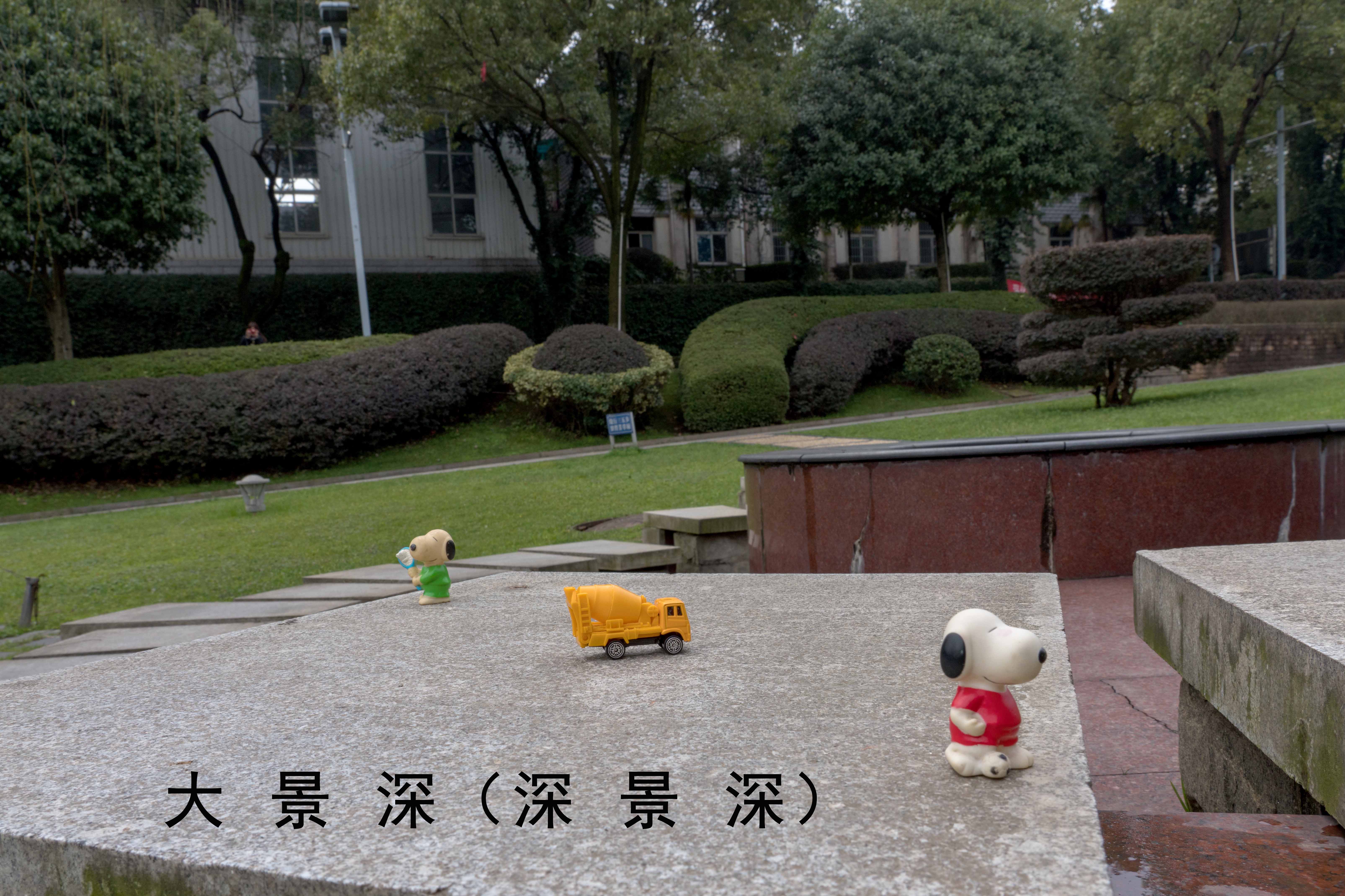 一萱摄影 了解景深帮助你拍好虚化效果的照片