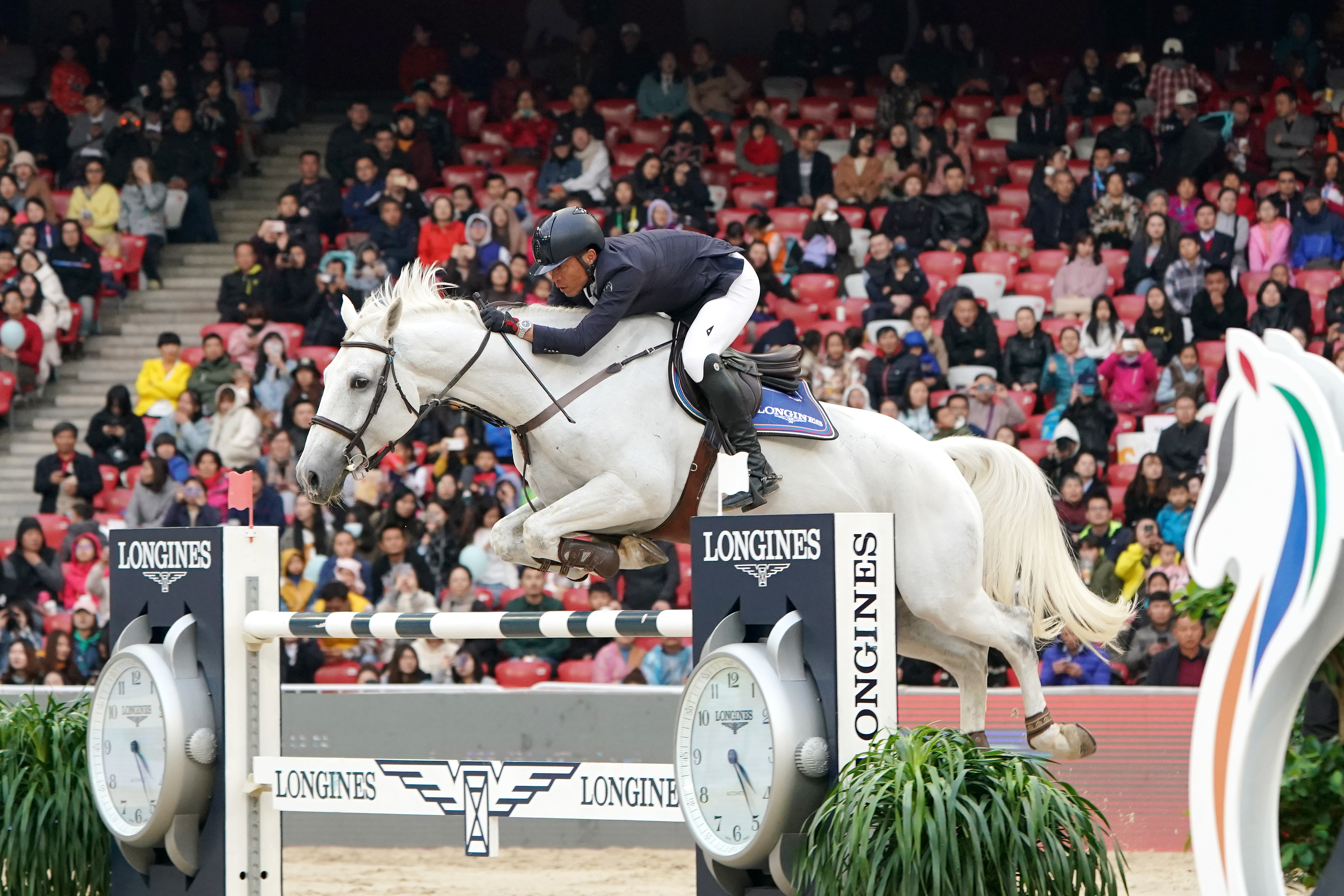 马术——鸟巢观赛马(1)