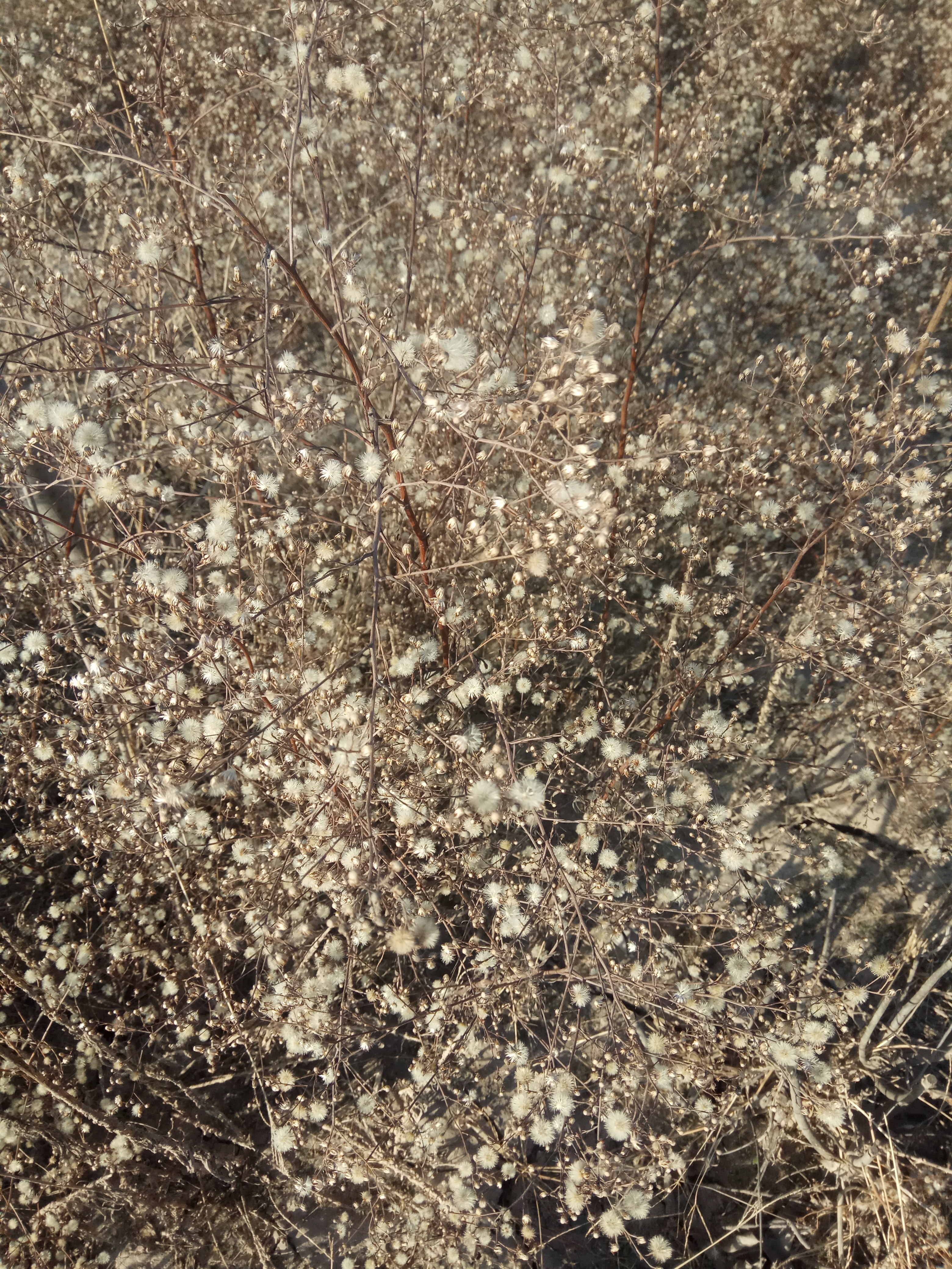 冬日暖阳游栎阳湖