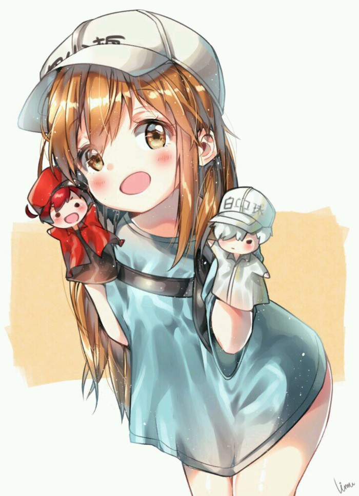 动漫美图《工作细胞》可爱的红细胞,我想这样一直抱着你!可以吗