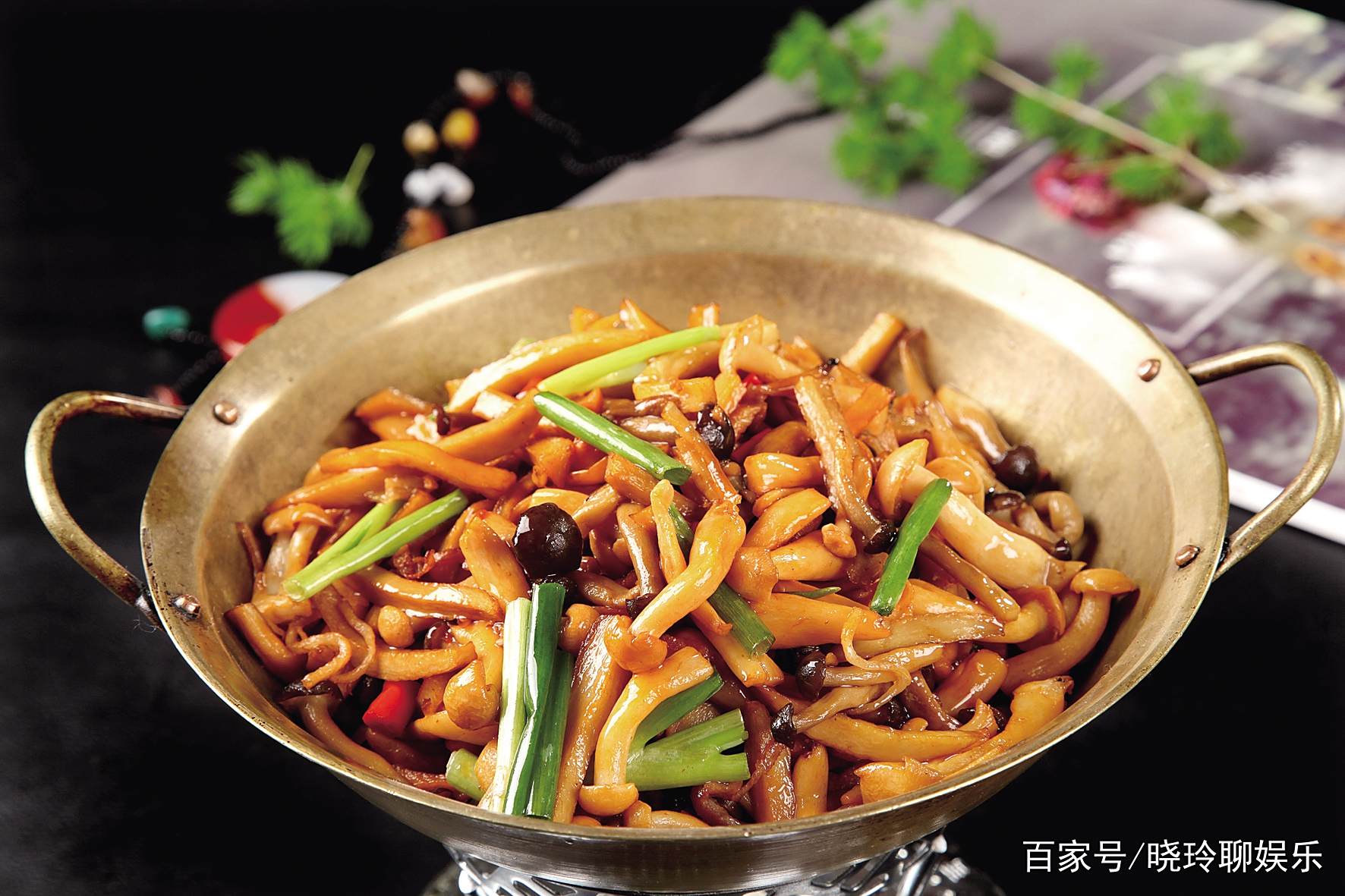 各地美食鉴赏的个人频道的简单介绍