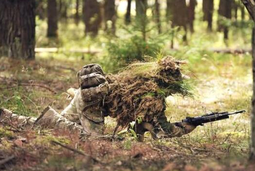 森林中隐藏着狙击手:非色盲者能发现2张,狙击手能找出全部!