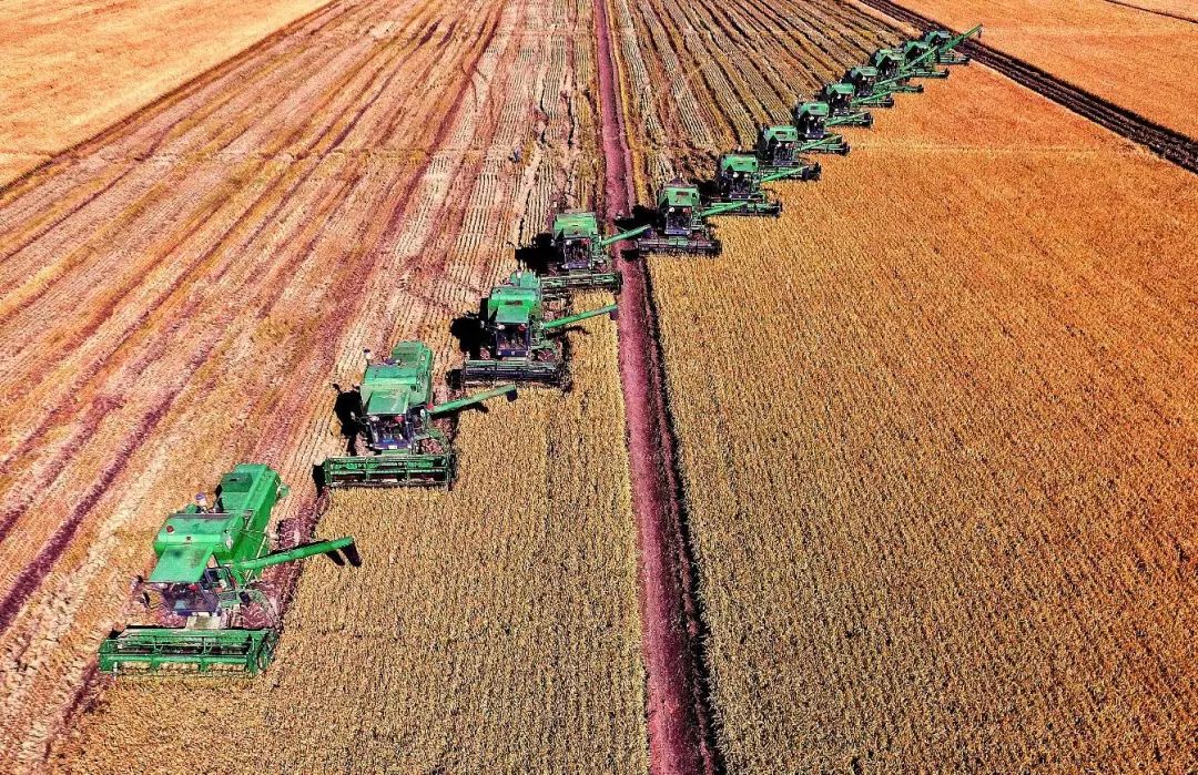 七星农场场长彭荣君|瞄准:机械化信息化智能化