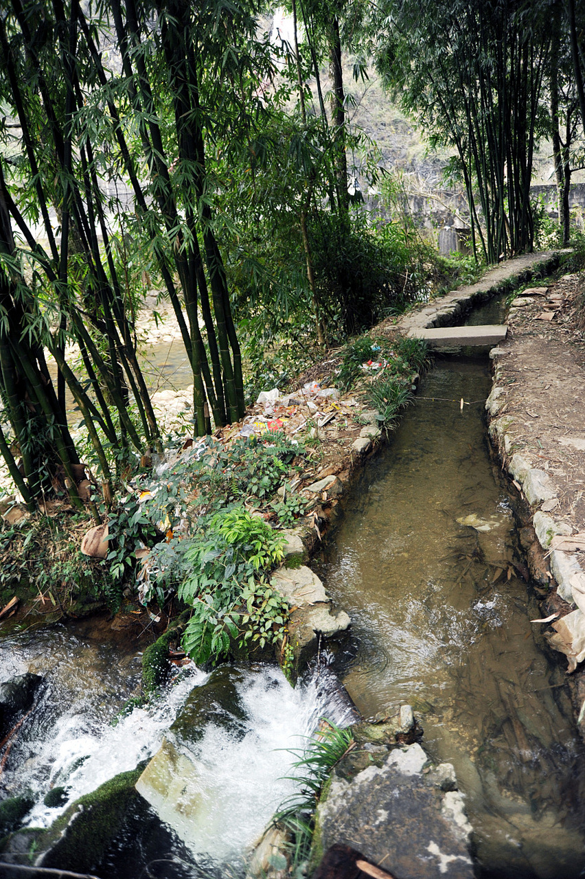 虎跑泉位于杭州市区,是游客们喜爱的一个旅游景点