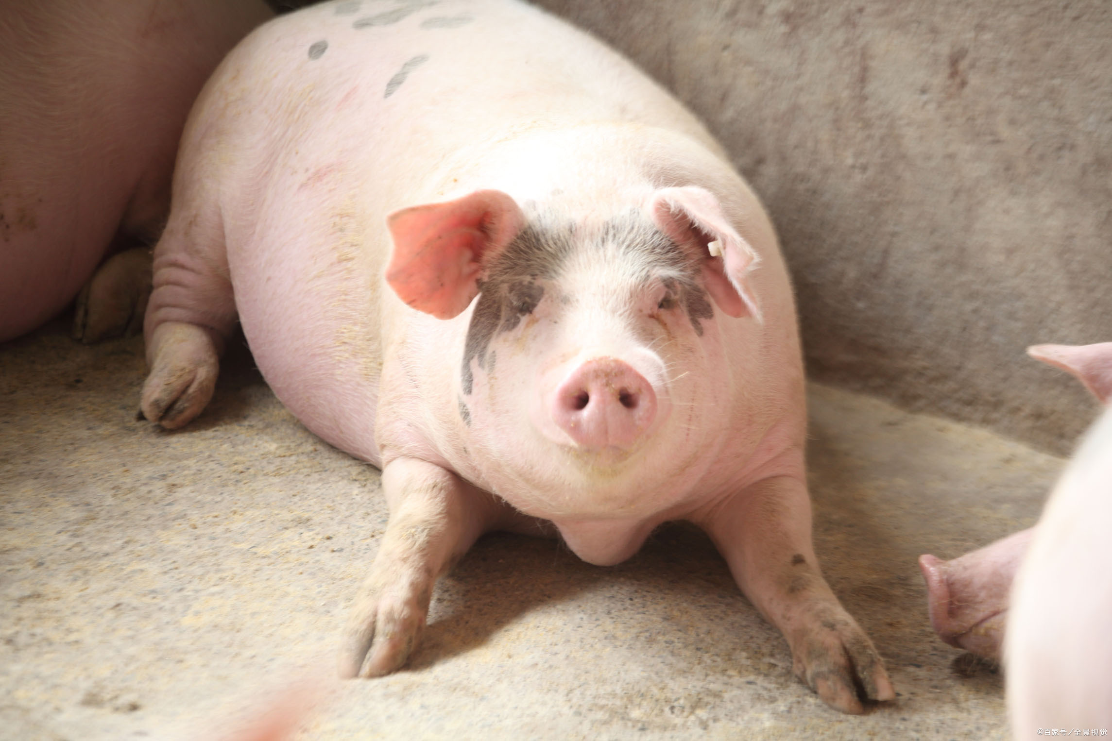 价- 优质问答专区