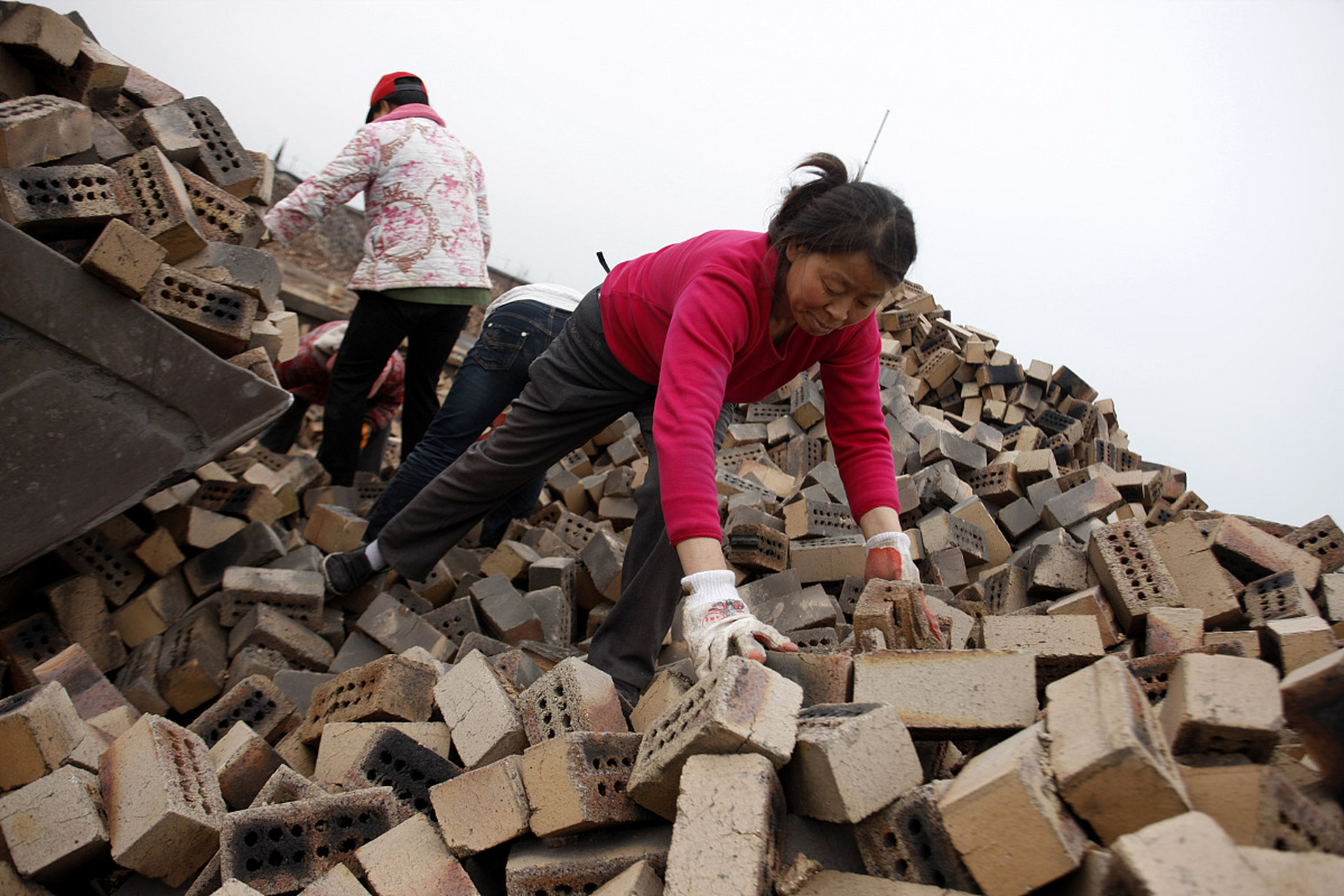 专家:成年人有权做个废物 如果有选择的话,我相信