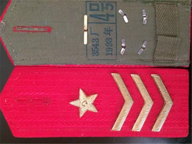 有这样一支队伍,所有人肩章无杠1星,却"见官大一级"