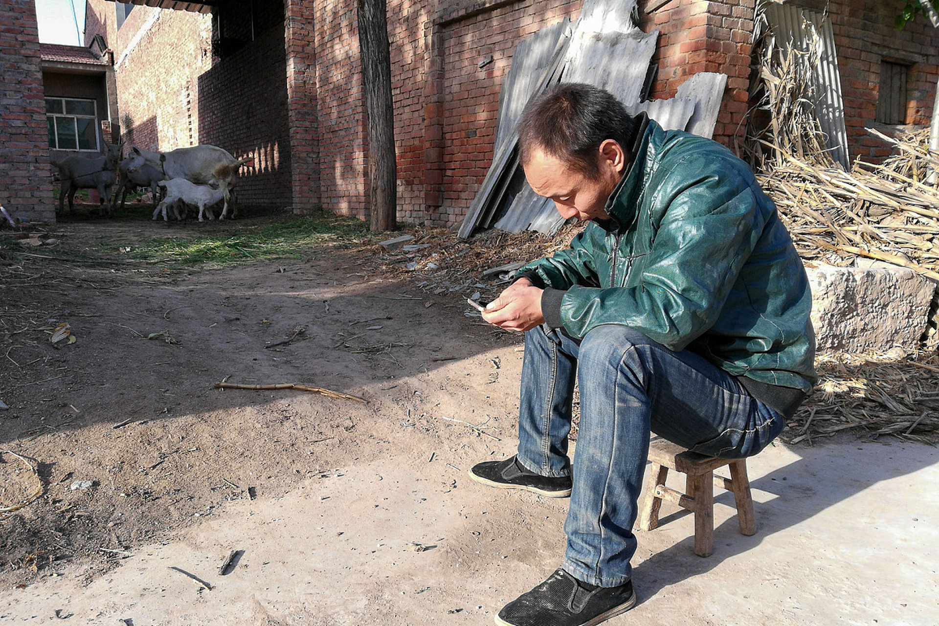 农村光棍多的10大原因,你还有补充的吗?  一,高昂的彩礼费用.