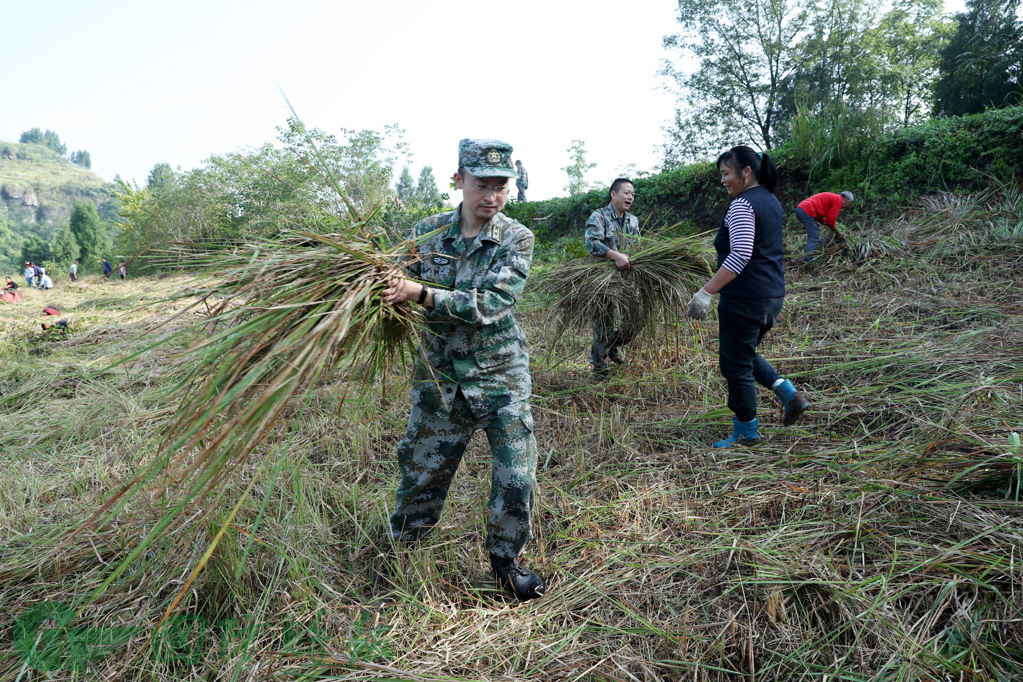 广安区人武部:军地联动 开荒种树