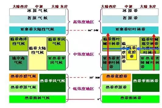 高中地理自然带气候图图片